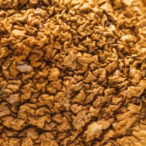 Buy African Aphrodisiac – Cannakiss in USA