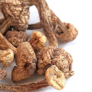 Buy-Brazilian-Magic-Mushrooms