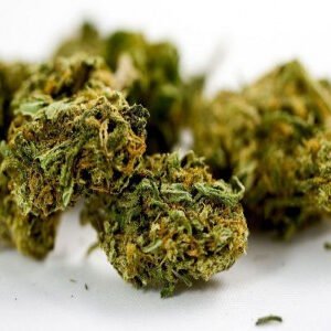 Buy Master Kush online In USA