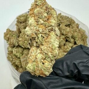 Buy Super Lemon Haze online In USA