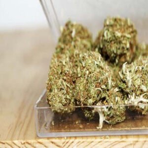 Buy White Widow Strain online In USA